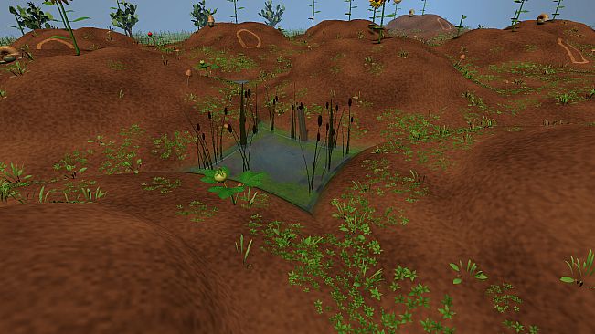 From a Single Seed