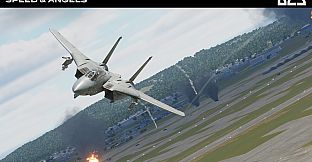 DCS: F-14B Speed and Angels Campaign