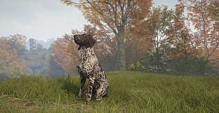 theHunter: Call of the Wild - German Shorthaired Pointer