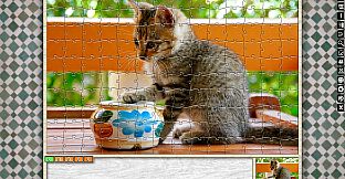 Jigsaw Puzzle Pack - Pixel Puzzles Ultimate: Variety Pack 1