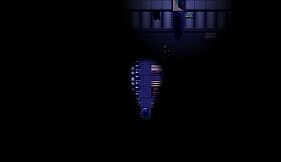 The Color of the Roses