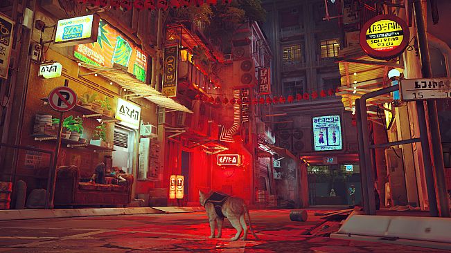 Stray