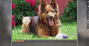 Jigsaw Puzzle Pack - Pixel Puzzles Ultimate: Dogs