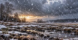 Puzzle Rain