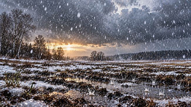 Puzzle Rain
