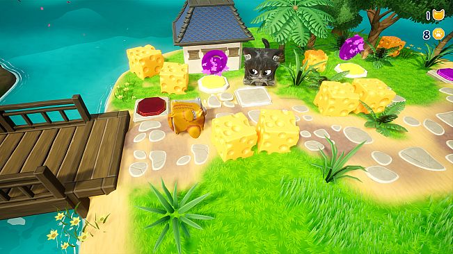 Lost in Cheese