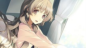 Love, Elections, and Chocolate