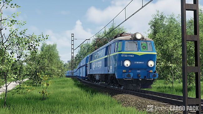 SimRail - The Railway Simulator: Cargo Pack