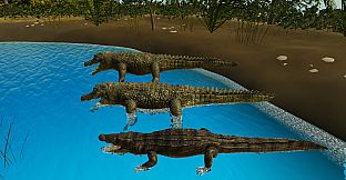 Animals for Clip maker