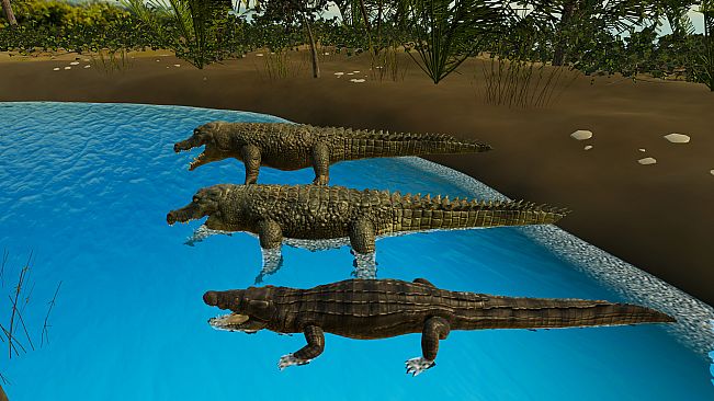 Animals for Clip maker