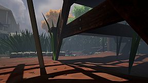 Mr Dookie Adventures