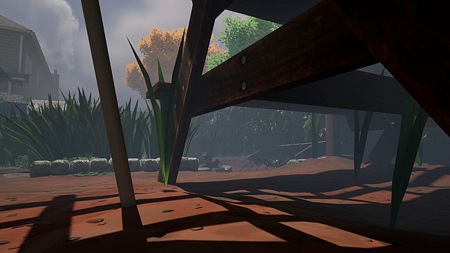 Mr Dookie Adventures