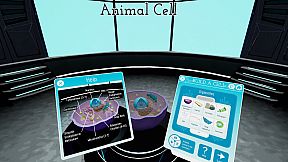 Looking Inside Cells