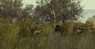 Arma 2: Private Military Company