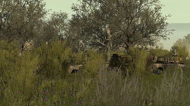 Arma 2: Private Military Company