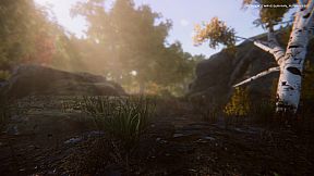 Resilience Wave Survival