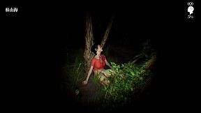 孙美琪疑案:雨儿胡同