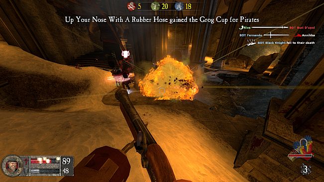 Pirates Vikings & Knights II