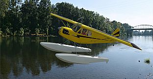 RealFlight Evolution – Hangar 9 Clipped-Wing Cub 10cc