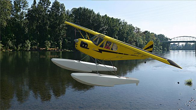 RealFlight Evolution – Hangar 9 Clipped-Wing Cub 10cc