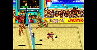 Arcade Archives 2 V'BALL