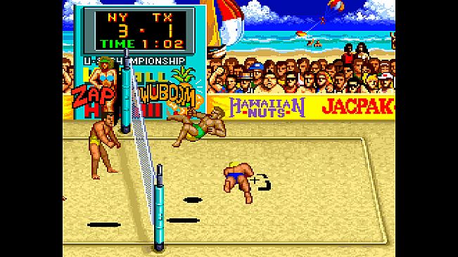 Arcade Archives 2 V'BALL