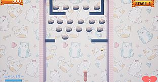 Challenge from the Black Cat