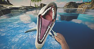 Dolphin Trainer VR