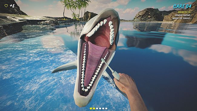 Dolphin Trainer VR