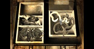 Lammana: The Looe Island Mystery