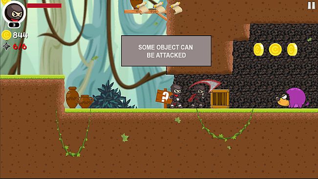 Ninja: Rise of a Hero