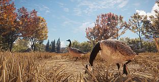 theHunter: Call of the Wild - New Species 2018