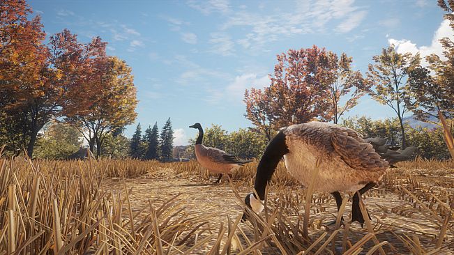 theHunter: Call of the Wild - New Species 2018