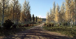 DiRT Rally 2.0 - Finland (Rally Location)