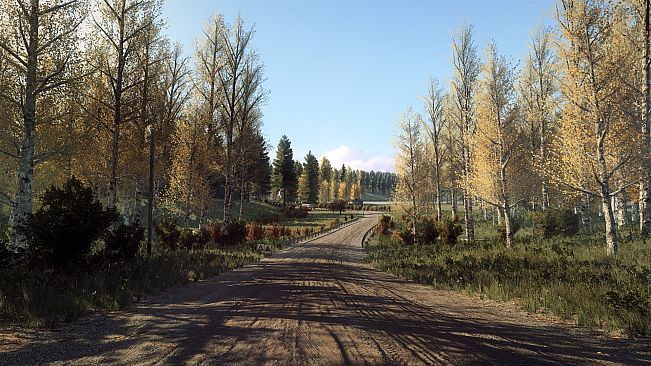 DiRT Rally 2.0 - Finland (Rally Location)