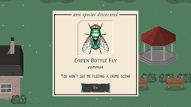 Bug & Seek - Community Collection