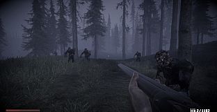 Horror in the forest