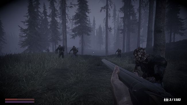 Horror in the forest