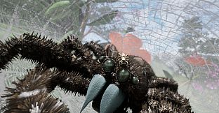 Peacock Jumping Spider - Drunk On Nectar