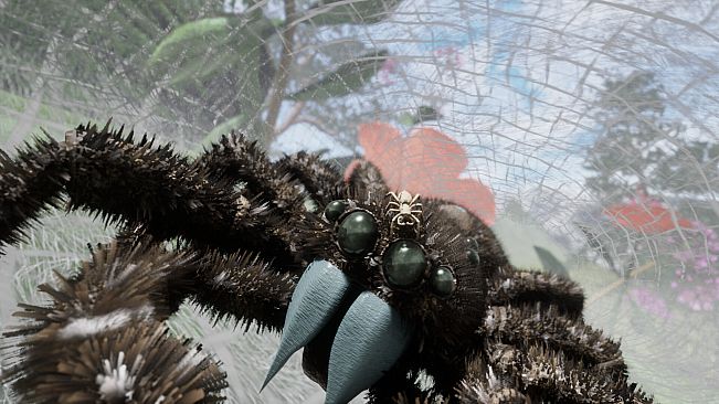 Peacock Jumping Spider - Drunk On Nectar