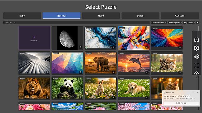 PUZIGO - Custom Image