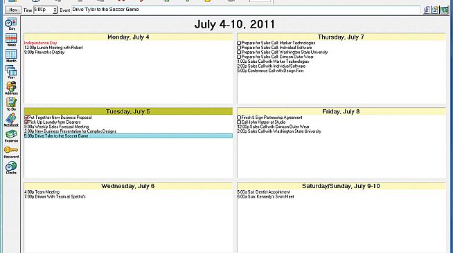 AnyTime Organizer Standard 15