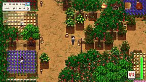 Land Of Idyllic Beauty