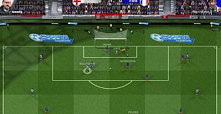 Sociable Soccer Champions