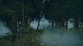 The Children of The Woods - Lost Tape