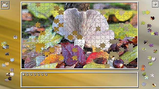 Super Jigsaw Puzzle: Generations - Mushrooms
