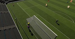 SonderSoft Soccer: Monkeys VS Robots!