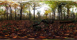 Cubemaps for Clip maker