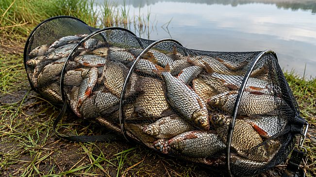 Puzzles Fishing
