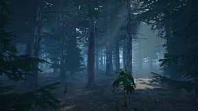 Mushroom Picker Simulator